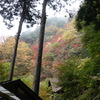 両神山へのハイク（その２）両神八海山～清滝小屋～鈴ヶ坂