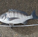 釣り、ゴルフ、時々農作業