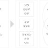 学校で使えるクリエイティブデザインアイデア #11: 情報を分類してわかりやすくする方法