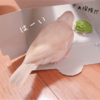 シナモン文鳥さん　たんけんしゅっぱーつ！