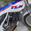 そのバイクは、HONDA　TLM220R(1)