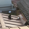 ねこ