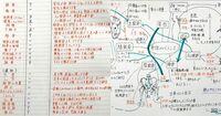 勉強ノート2種「反復練習×メモリーツリー」の組み合わせが最強。「覚えたはずなのに忘れる…」を解決！
