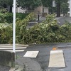 閑話休題　アフター台風