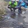 少しずつ春が！