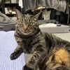人体実験してみた（2）