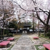 松音寺の桜（仙台市若林区）