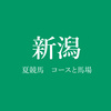 夏の新潟開催が開幕！ーーコースと馬場の特徴をズバッと解説