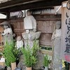 首イボ都市伝説！～民間療法等について～