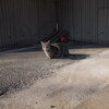 野良猫(15)(その2)