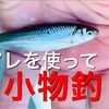 「あるエサの試し釣り」