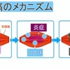 夏日になる