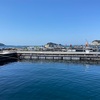 由良海釣り公園 海上釣堀2021年4月10日（土）