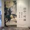 田中一村展