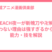 BLEACH夜一が斬魄刀や卍解を使わない理由は強すぎるから？能力・技を解説