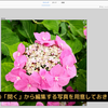 複数の効果を加えて楽しいコラージュを作る方法【Photoshop Elements】