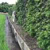 雨のためお休みの月曜日