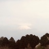 今朝の景色