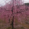 続・鈴鹿市の菅原神社