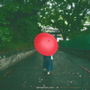 【585話・Nikon】Zf＆Z 26mm F2.8＆Z 40mm F2で撮る「雨の上野」