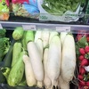 今日の夕飯は大根です！ロシアで買う大根。