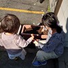 ６４１．チューリップ
