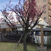 今から左目の手術に行きます。