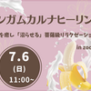 人生最大の衝撃！こんな「癒し」が世の中に存在したとは…7/6(日)リンガムカルナヒーリング