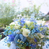 WeekEnd　Flowers　６月第５週