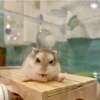 心は揺れるけど