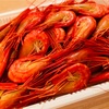 北海シマエビ、北海道に行ったら食べてもらいたい