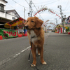 どこも雨予報なので移動の日（2019/08/16）