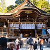 "神聖な空気とペットの癒し：奈良・大神神社へ"