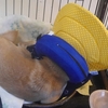 術後２日、その２だよ。