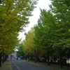 ＊今日は市内の南中学校の文化祭、翔南祭の協力に出かけてきました。