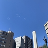 明日は祝日スケジュールです。