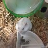 つぶあん271日目
