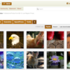 動物や人物や風景など様々なジャンルの写真を無料配布しているサイト