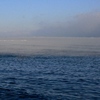 流氷隠す海の霧