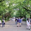 日台食文化交流2015@上野恩賜公園・噴水広場〜ちょっと拍子抜け〜