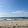 ちっと海水がしゃっこかったかな、な今シーズン初のサーフでのシロギス狙い。夕方の海辺散歩的釣り。
