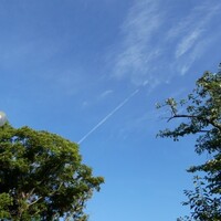 忘れたい日　記憶を消すことができるのなら…　試練の日　