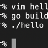 Golang のHello World をUbuntuで!!!