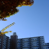 勝俣部長の「ため息」４９６６回････世紀の認知症薬