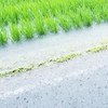 豪雨災害　怖い落とし穴‼「今までにも見たことのある雨の強さ、川の濁流」それこそ危険‼　