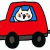 【引っ越し等】猫を車で長距離移動させるときの注意点と５つの準備！