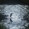 さぁ、やってきました…