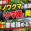 【愛知・豊田】ツキノワグマの痕跡「クマ棚」発見！住宅地で警戒強める【2026年9月最新】