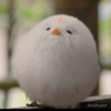 相柳について②／リアリティというもの