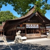 はだか祭で有名な国府宮神社に人がおらず閑散としていたので参拝ついでにおみくじを引いてきた